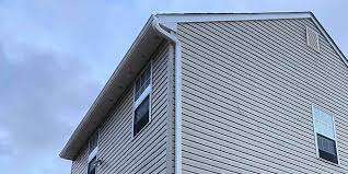 Best Historical Building Siding Restoration  in Carrizozo, NM